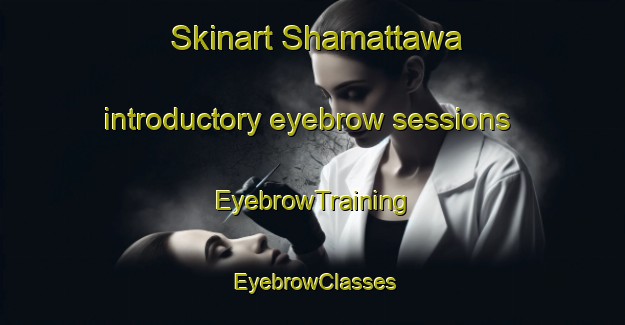Skinart Shamattawa introductory eyebrow sessions | EyebrowTraining | EyebrowClasses | SkinartTraining-Canada