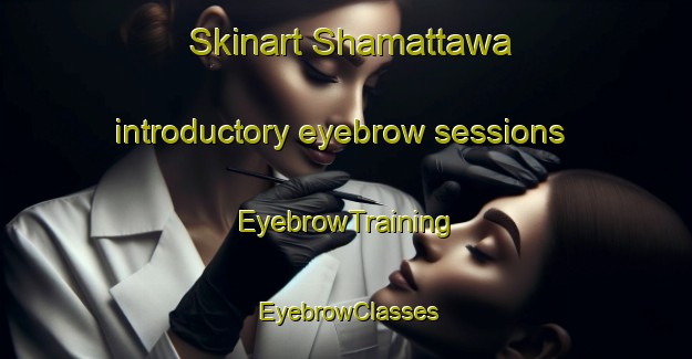 Skinart Shamattawa introductory eyebrow sessions | EyebrowTraining | EyebrowClasses | SkinartTraining-Canada