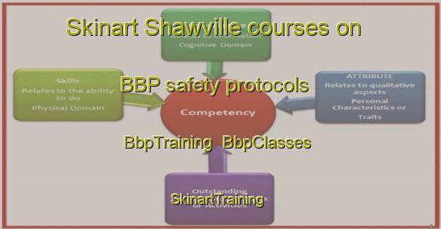 Skinart Shawville courses on BBP safety protocols | BbpTraining | BbpClasses | SkinartTraining-Canada