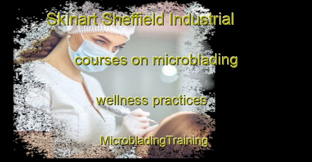 Skinart Sheffield Industrial courses on microblading wellness practices | #MicrobladingTraining #MicrobladingClasses #SkinartTraining-Canada