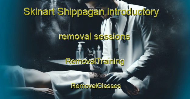 Skinart Shippagan introductory removal sessions | RemovalTraining | RemovalClasses | SkinartTraining-Canada