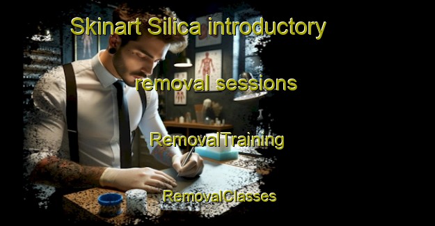 Skinart Silica introductory removal sessions | RemovalTraining | RemovalClasses | SkinartTraining-Canada