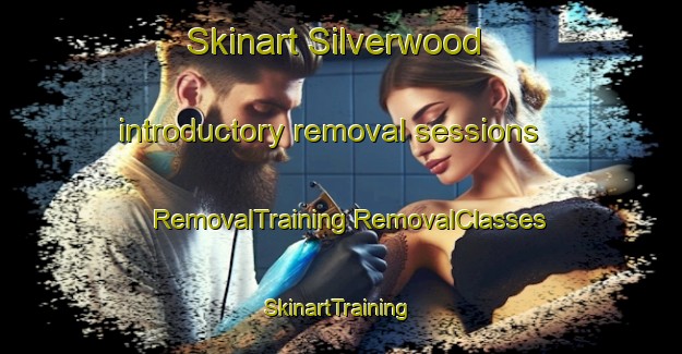 Skinart Silverwood introductory removal sessions | #RemovalTraining #RemovalClasses #SkinartTraining-Canada