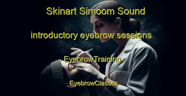 Skinart Simoom Sound introductory eyebrow sessions | EyebrowTraining | EyebrowClasses | SkinartTraining-Canada