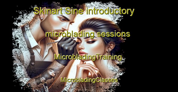 Skinart Sine introductory microblading sessions | #MicrobladingTraining #MicrobladingClasses #SkinartTraining-Canada