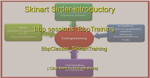 Skinart Sirdar introductory bbp sessions | BbpTraining | BbpClasses | SkinartTraining-Canada