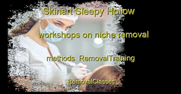 Skinart Sleepy Hollow workshops on niche removal methods | RemovalTraining | RemovalClasses | SkinartTraining-Canada