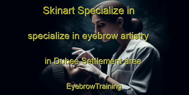 Skinart Specialize in specialize in eyebrow artistry in Dubee Settlement area | EyebrowTraining | EyebrowClasses | SkinartTraining-Canada