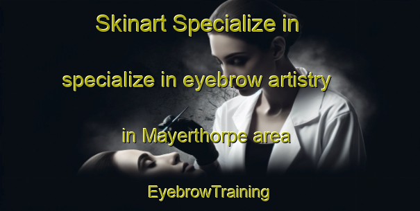 Skinart Specialize in specialize in eyebrow artistry in Mayerthorpe area | EyebrowTraining | EyebrowClasses | SkinartTraining-Canada