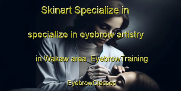 Skinart Specialize in specialize in eyebrow artistry in Wakaw area | EyebrowTraining | EyebrowClasses | SkinartTraining-Canada
