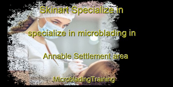 Skinart Specialize in specialize in microblading in Annable Settlement area | MicrobladingTraining | MicrobladingClasses | SkinartTraining-Canada