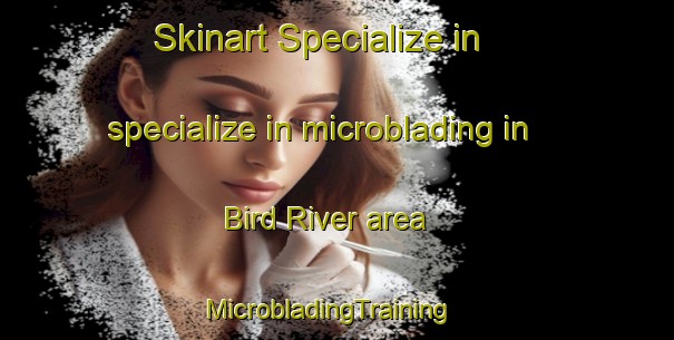 Skinart Specialize in specialize in microblading in Bird River area | MicrobladingTraining | MicrobladingClasses | SkinartTraining-Canada
