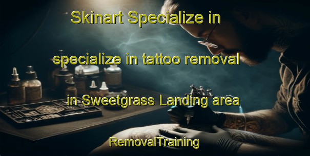 Skinart Specialize in specialize in tattoo removal in Sweetgrass Landing area | RemovalTraining | RemovalClasses | SkinartTraining-Canada