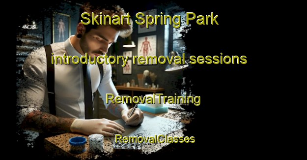Skinart Spring Park introductory removal sessions | RemovalTraining | RemovalClasses | SkinartTraining-Canada