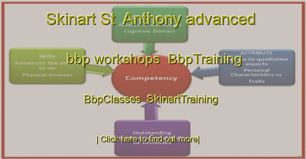 Skinart St  Anthony advanced bbp workshops | BbpTraining | BbpClasses | SkinartTraining-Canada