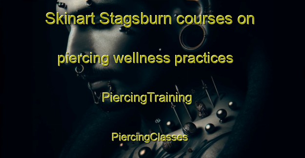 Skinart Stagsburn courses on piercing wellness practices | PiercingTraining | PiercingClasses | SkinartTraining-Canada