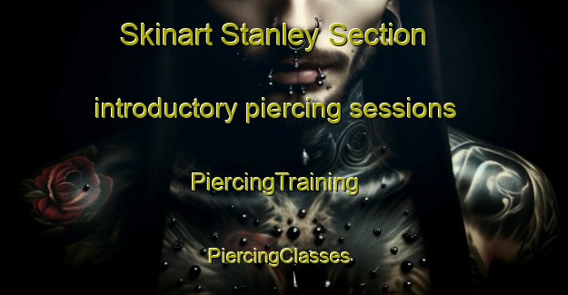 Skinart Stanley Section introductory piercing sessions | PiercingTraining | PiercingClasses | SkinartTraining-Canada