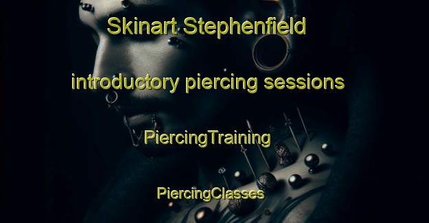 Skinart Stephenfield introductory piercing sessions | PiercingTraining | PiercingClasses | SkinartTraining-Canada