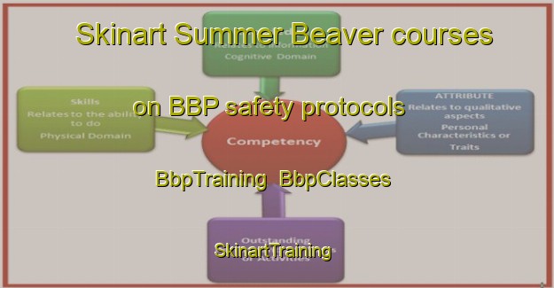 Skinart Summer Beaver courses on BBP safety protocols | BbpTraining | BbpClasses | SkinartTraining-Canada