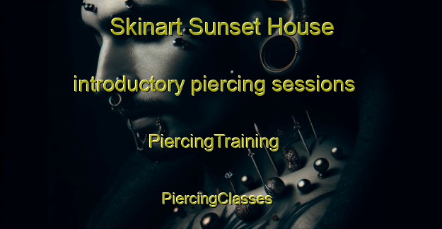 Skinart Sunset House introductory piercing sessions | PiercingTraining | PiercingClasses | SkinartTraining-Canada