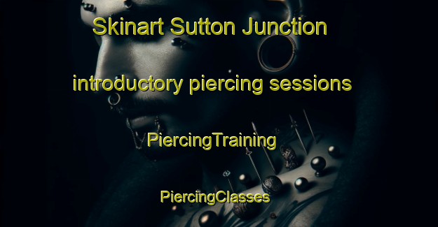 Skinart Sutton Junction introductory piercing sessions | PiercingTraining | PiercingClasses | SkinartTraining-Canada