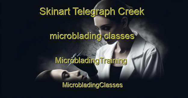 Skinart Telegraph Creek microblading classes | MicrobladingTraining | MicrobladingClasses | SkinartTraining-Canada