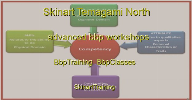 Skinart Temagami North advanced bbp workshops | BbpTraining | BbpClasses | SkinartTraining-Canada