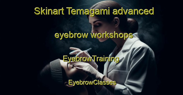 Skinart Temagami advanced eyebrow workshops | EyebrowTraining | EyebrowClasses | SkinartTraining-Canada