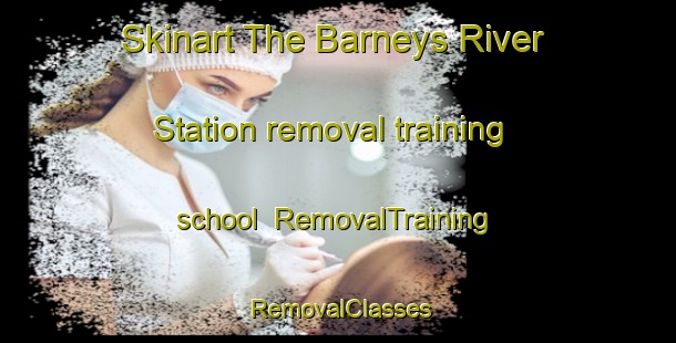 Skinart The Barneys River Station removal training school | RemovalTraining | RemovalClasses | SkinartTraining-Canada