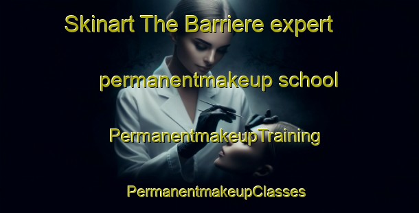 Skinart The Barriere expert permanentmakeup school | PermanentmakeupTraining | PermanentmakeupClasses | SkinartTraining-Canada