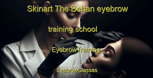Skinart The Behan eyebrow training school | EyebrowTraining | EyebrowClasses | SkinartTraining-Canada