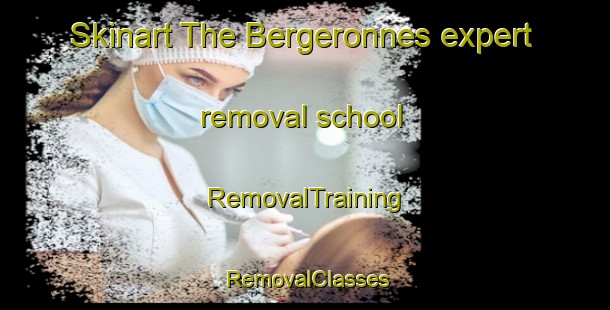 Skinart The Bergeronnes expert removal school | RemovalTraining | RemovalClasses | SkinartTraining-Canada