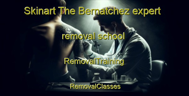 Skinart The Bernatchez expert removal school | RemovalTraining | RemovalClasses | SkinartTraining-Canada