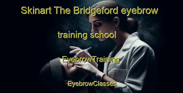 Skinart The Bridgeford eyebrow training school | EyebrowTraining | EyebrowClasses | SkinartTraining-Canada