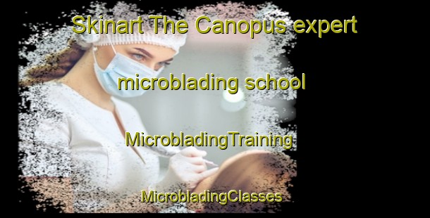 Skinart The Canopus expert microblading school | MicrobladingTraining | MicrobladingClasses | SkinartTraining-Canada