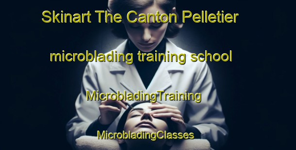 Skinart The Canton Pelletier microblading training school | MicrobladingTraining | MicrobladingClasses | SkinartTraining-Canada