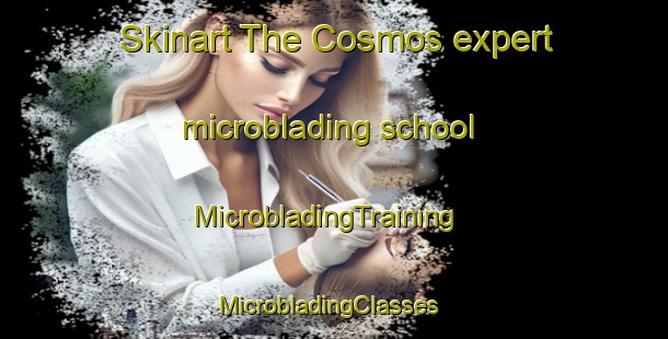 Skinart The Cosmos expert microblading school | MicrobladingTraining | MicrobladingClasses | SkinartTraining-Canada