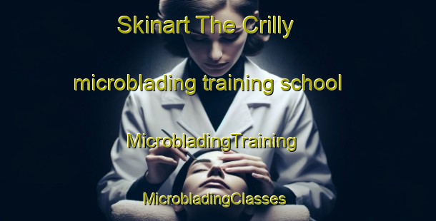 Skinart The Crilly microblading training school | MicrobladingTraining | MicrobladingClasses | SkinartTraining-Canada