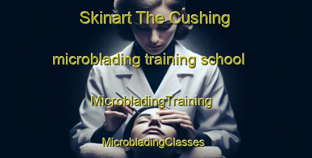 Skinart The Cushing microblading training school | MicrobladingTraining | MicrobladingClasses | SkinartTraining-Canada