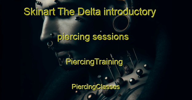 Skinart The Delta introductory piercing sessions | #PiercingTraining #PiercingClasses #SkinartTraining-Canada