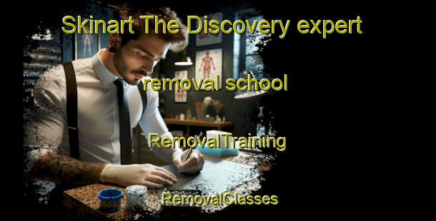Skinart The Discovery expert removal school | RemovalTraining | RemovalClasses | SkinartTraining-Canada