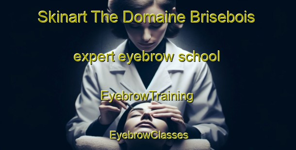 Skinart The Domaine Brisebois expert eyebrow school | EyebrowTraining | EyebrowClasses | SkinartTraining-Canada