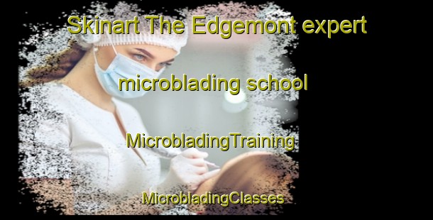 Skinart The Edgemont expert microblading school | MicrobladingTraining | MicrobladingClasses | SkinartTraining-Canada