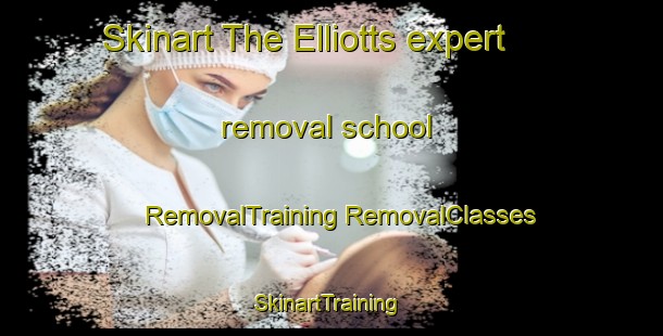 Skinart The Elliotts expert removal school | #RemovalTraining #RemovalClasses #SkinartTraining-Canada