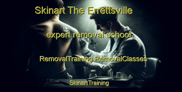 Skinart The Errettsville expert removal school | #RemovalTraining #RemovalClasses #SkinartTraining-Canada