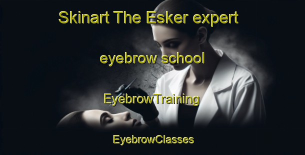 Skinart The Esker expert eyebrow school | EyebrowTraining | EyebrowClasses | SkinartTraining-Canada