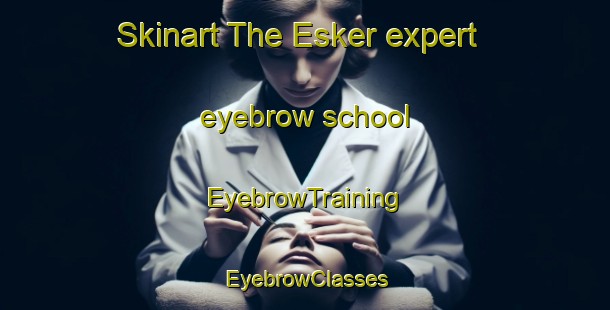 Skinart The Esker expert eyebrow school | EyebrowTraining | EyebrowClasses | SkinartTraining-Canada