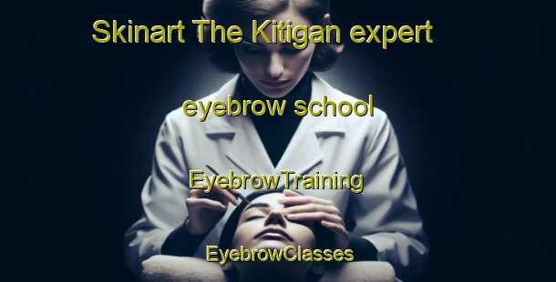 Skinart The Kitigan expert eyebrow school | EyebrowTraining | EyebrowClasses | SkinartTraining-Canada