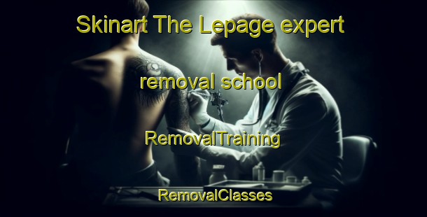 Skinart The Lepage expert removal school | RemovalTraining | RemovalClasses | SkinartTraining-Canada