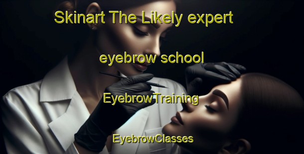 Skinart The Likely expert eyebrow school | EyebrowTraining | EyebrowClasses | SkinartTraining-Canada